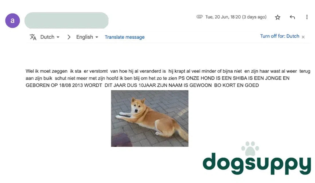 Shiba hond Bo krabt minder en heeft een betere vacht