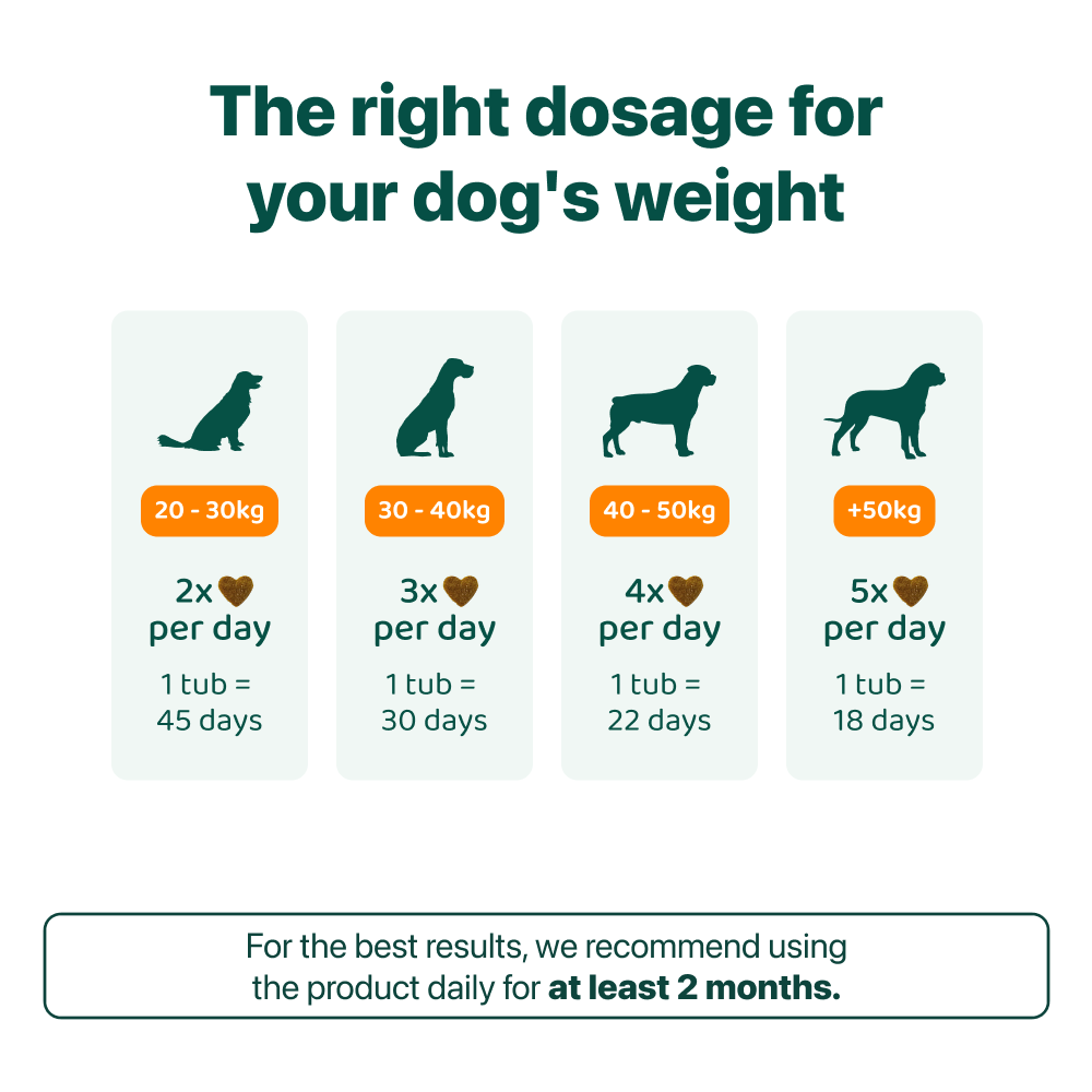 LargeDog⁺ Itch Relief Probiotics Forte 🌿 100% natural 🫙 90 soft chews