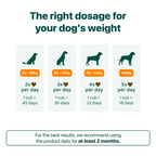 LargeDog⁺ Itch Relief Probiotics Forte 🌿 100% natural 🫙 90 soft chews