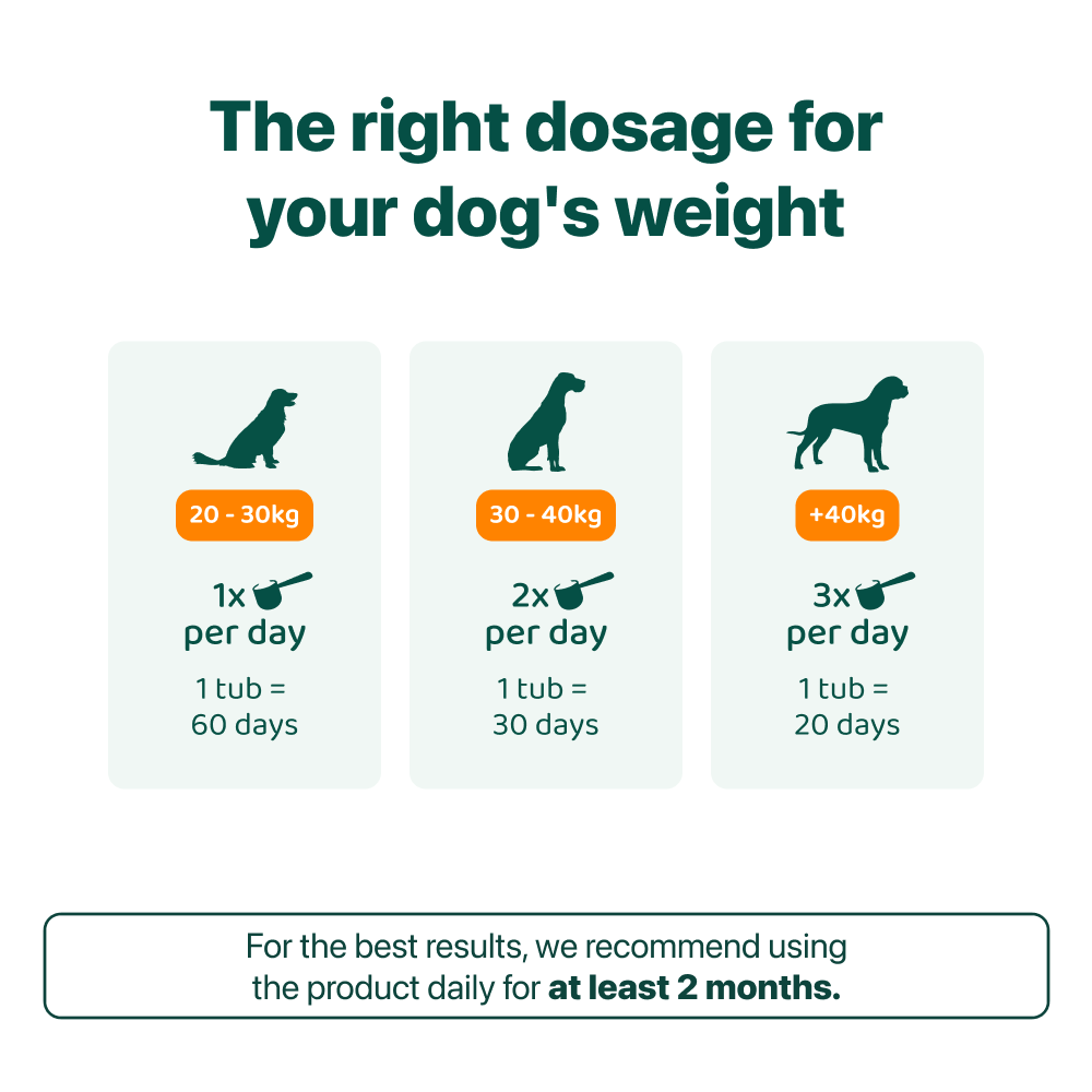 LargeDog⁺ Dental Bright™ 🌿 100% natural 🫙 60 scoops