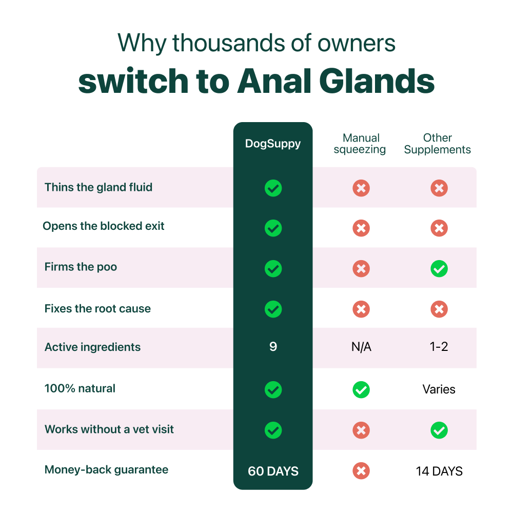 Scooting & Anal Gland Support