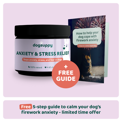 Anxiety & Stress Relief 🌿 100% natural 🫙 60 soft chews