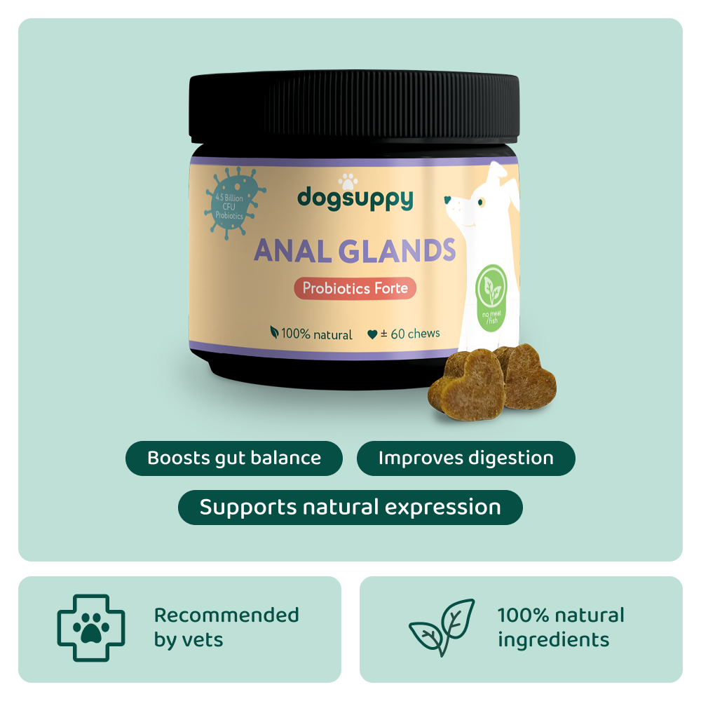 Anal Glands 🌿 100% natural 🫙 60 soft chews