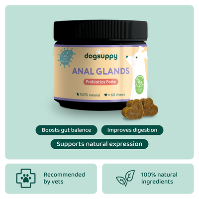 Anal Glands 🌿 100% natural 🫙 60 soft chews