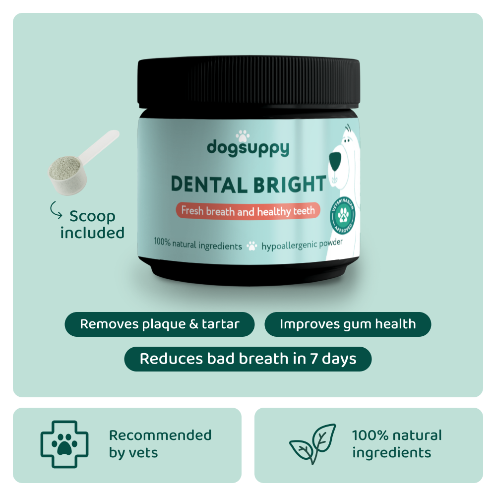 Dental Bright™ 🌿 100% natural 🫙 60 scoops