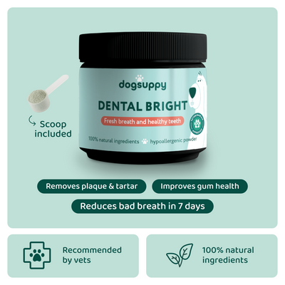 Dental Bright™ 🌿 100% natural 🫙 60 scoops