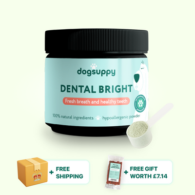 Dental Bright™ + Free Dental Sticks