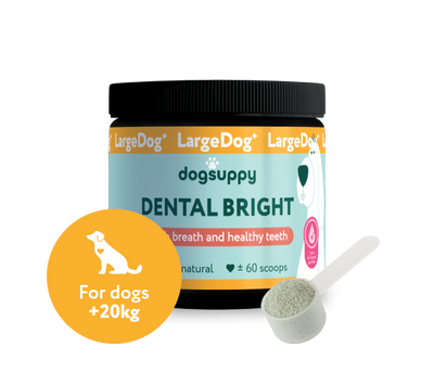 LargeDog⁺ Dental Bright™ 🌿 100% natural 🫙 60 scoops