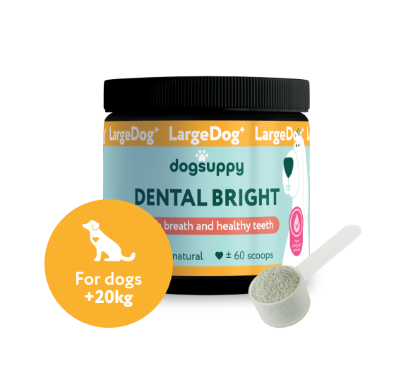 LargeDog⁺ Dental Bright™ 🌿 100% natural 🫙 60 scoops