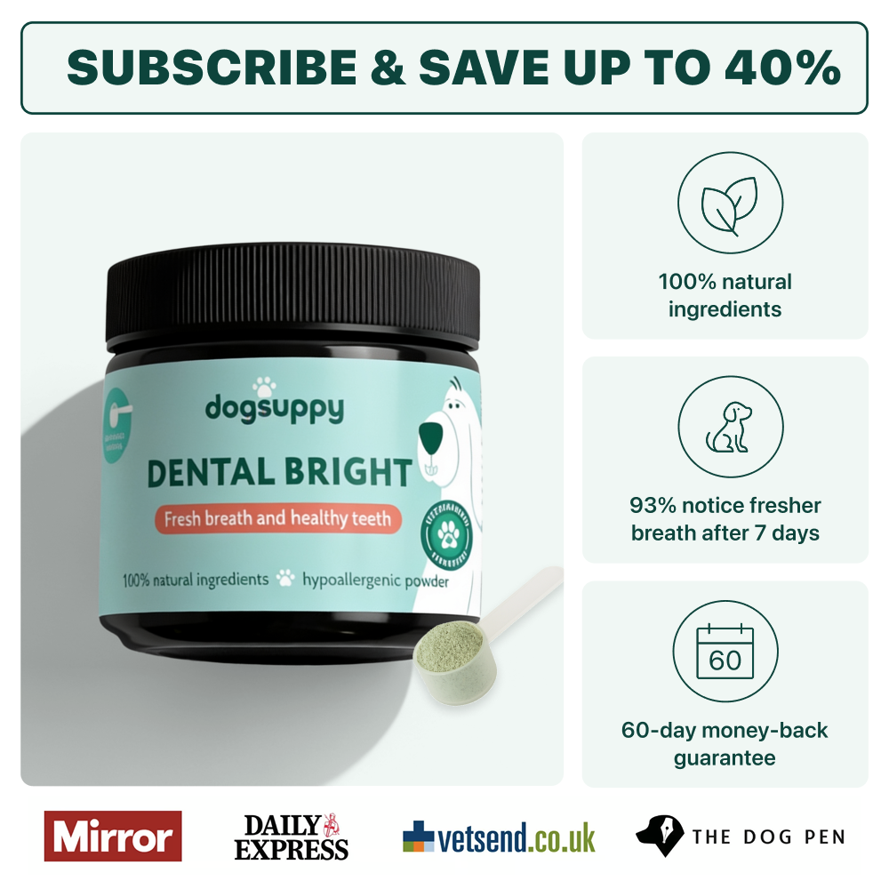 Dental Bright™ 🌿 100% natural 🫙 60 scoops