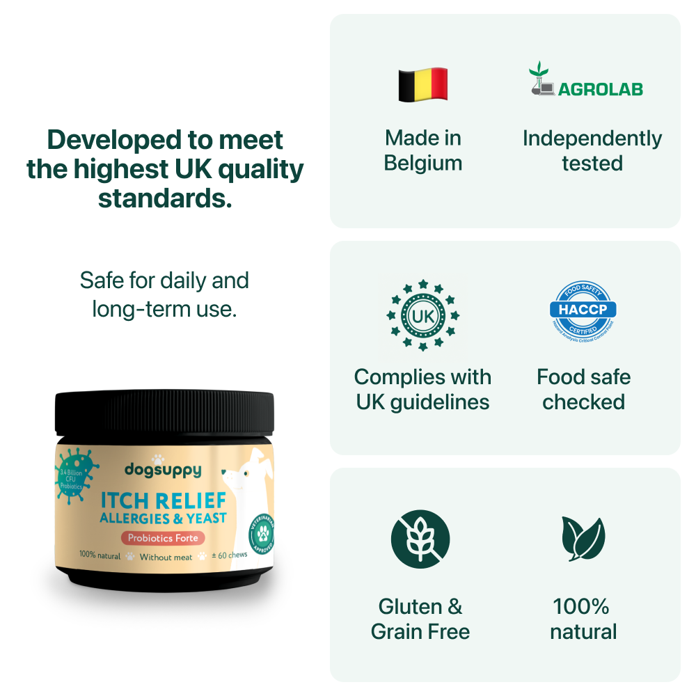 Itch Relief Probiotics Forte 🌿 100% natural 🫙 60 soft chews