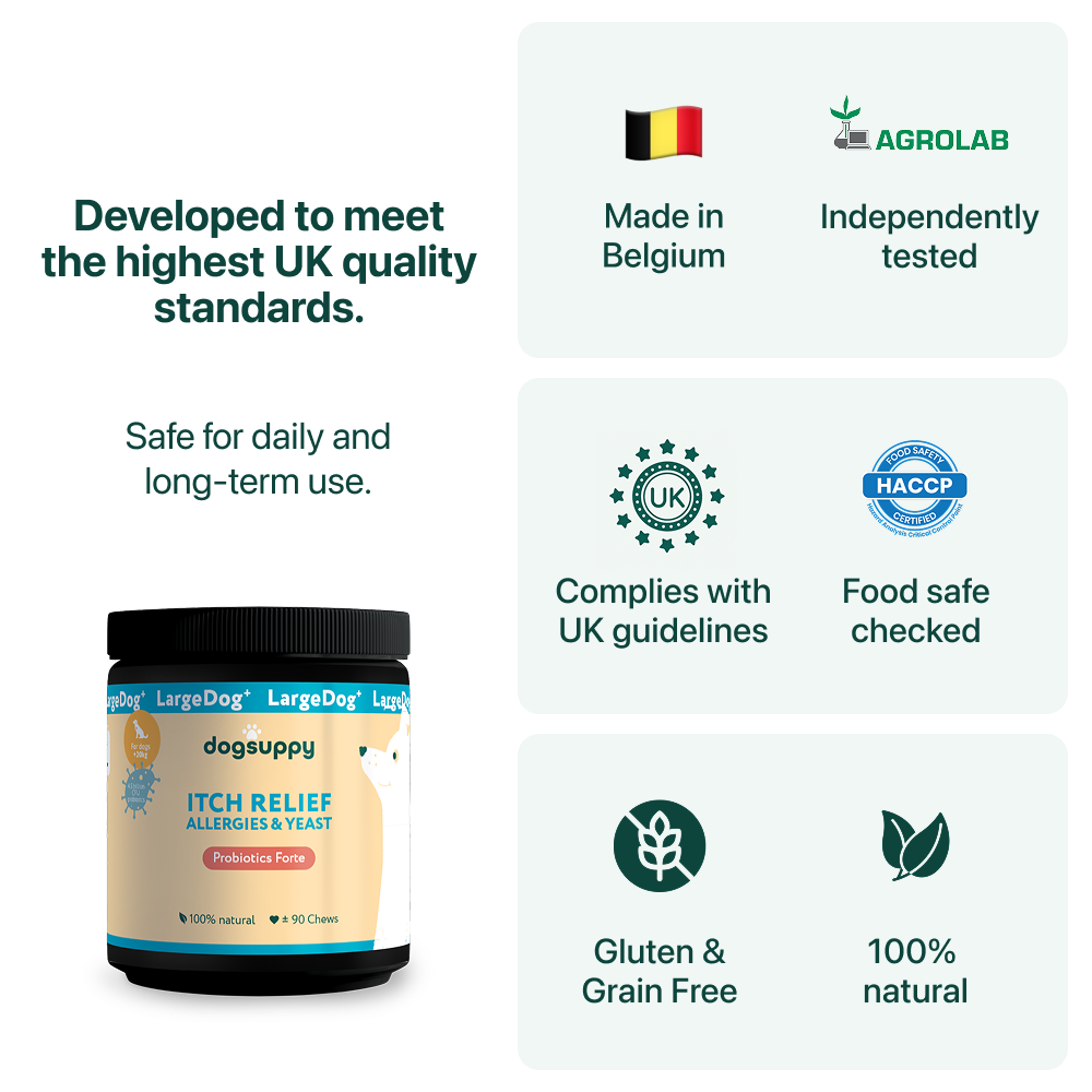 LargeDog⁺ Itch Relief Probiotics Forte 🌿 100% natural 🫙 90 soft chews