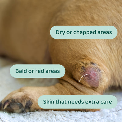 Honey Balm 🌿 100% natural 🫙 125 ml