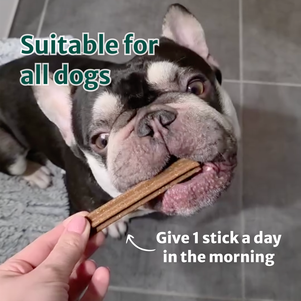 Clean Bite Dental Sticks 🌿 100% natural 5️⃣ 5 sticks