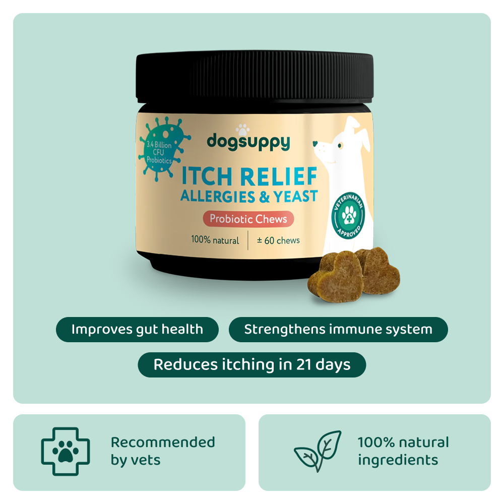 Itch Relief Probiotics Forte 🌿 100% natural 🫙 60 soft chews
