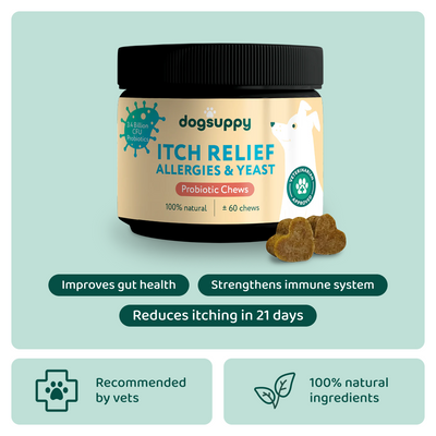 Itch Relief Probiotics Forte 🌿 100% natural 🫙 60 soft chews