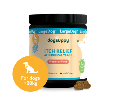 LargeDog⁺ Itch Relief Probiotics Forte 🌿 100% natural 🫙 90 soft chews