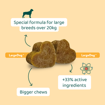 LargeDog⁺ Itch Relief Probiotics Forte 🌿 100% natural 🫙 90 soft chews