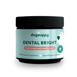 Dental Bright