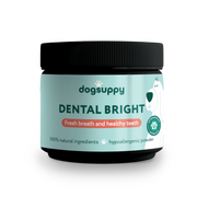 Dental Bright