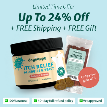 Itch Relief Probiotics Forte | 100% natural ingredients | 60 soft chews