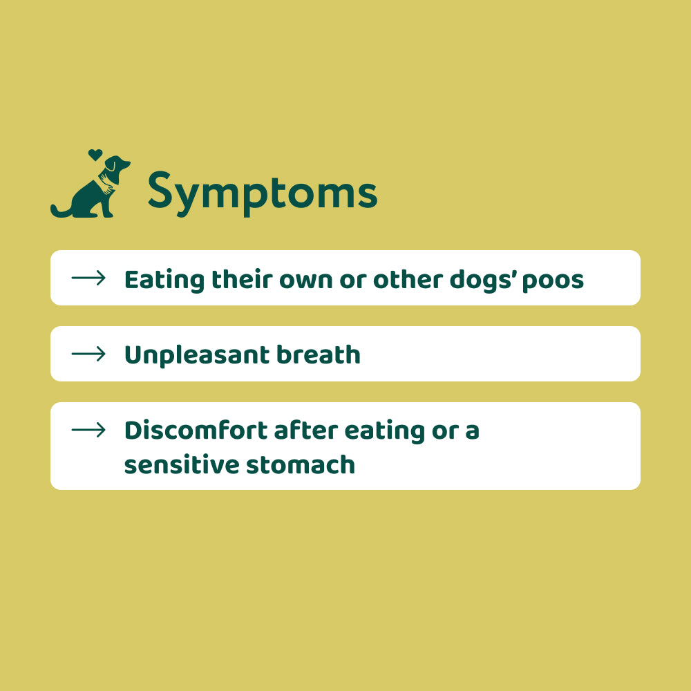 No Poo Eating 🌿 100% natural 🫙 60 soft chews