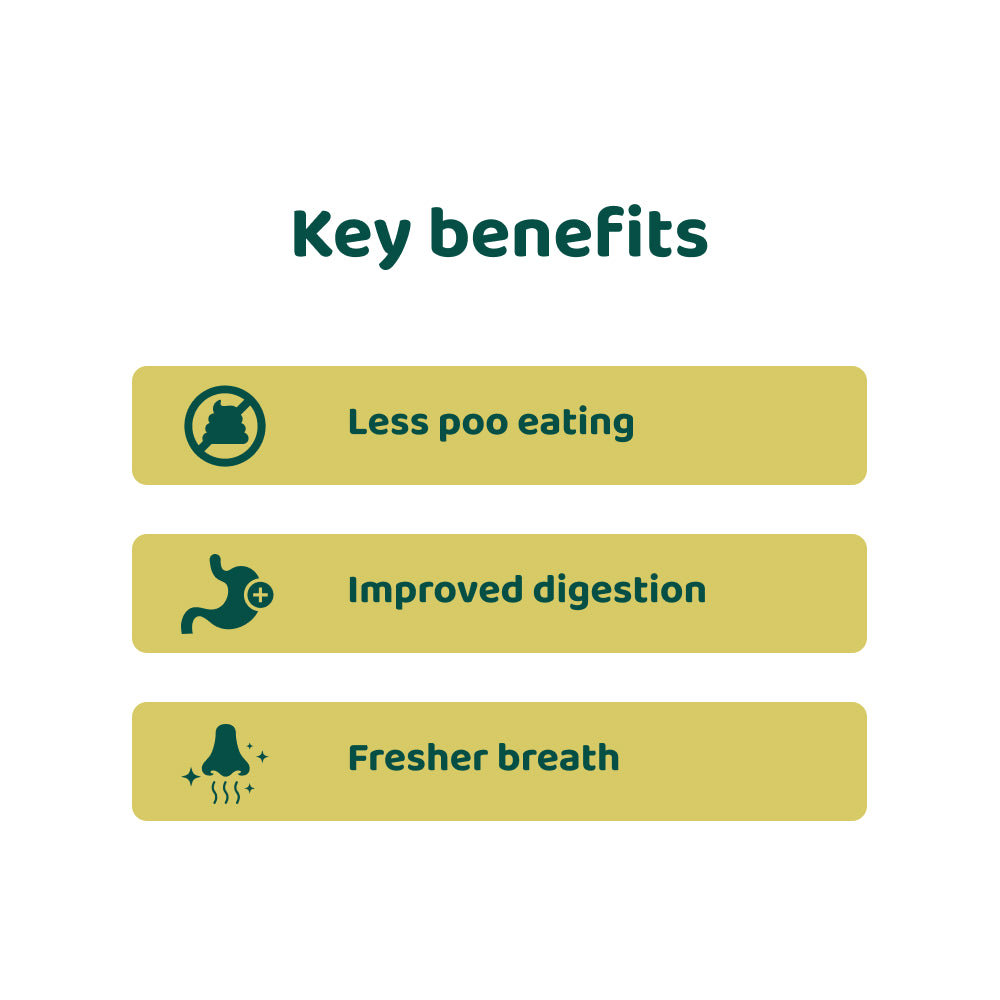 No Poo Eating 🌿 100% natural 🫙 60 soft chews