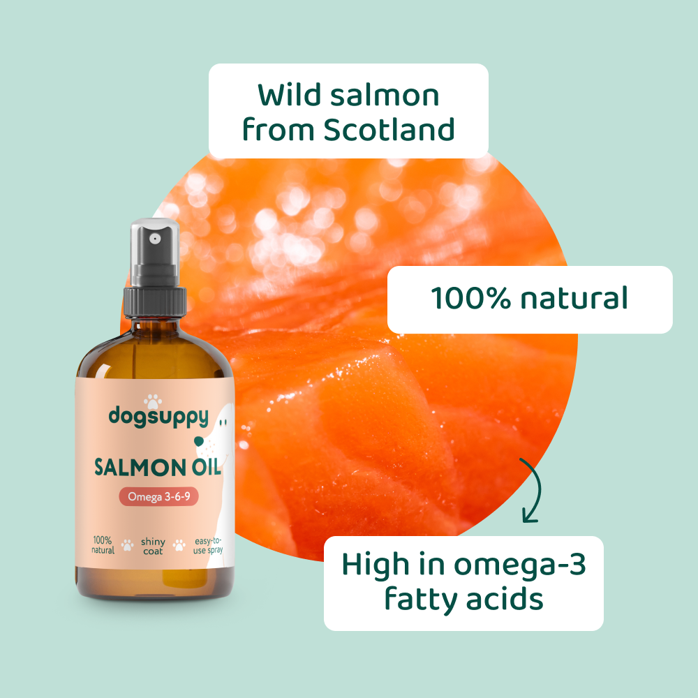 Salmon Oil 🌿 100% natural💧100ml
