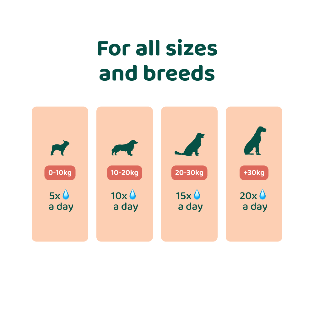 Salmon Oil 🌿 100% natural💧100ml