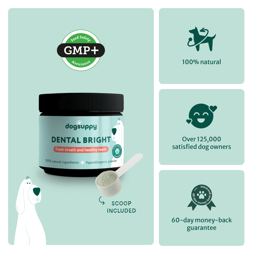 Dental Bright | 100% natural ingredients | 60 scoops