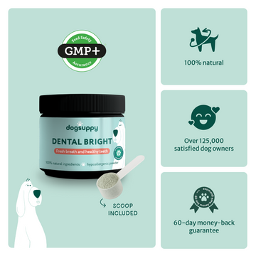 Dental Bright | 100% natural ingredients | 60 scoops