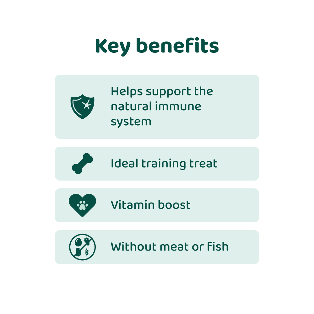 Vitamin Boost 🌿 100% natural 🫙 60-70 treats