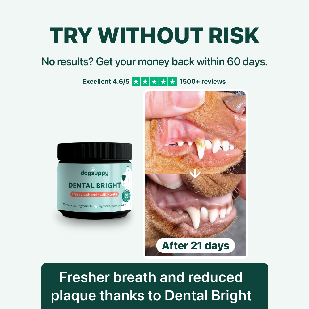 Dental Bright™ 🌿 100% natural 🫙 60 scoops