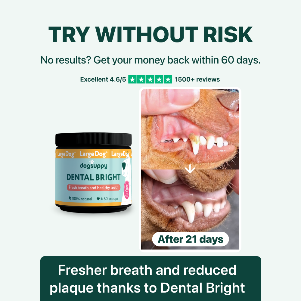 LargeDog⁺ Dental Bright™ 🌿 100% natural 🫙 60 scoops