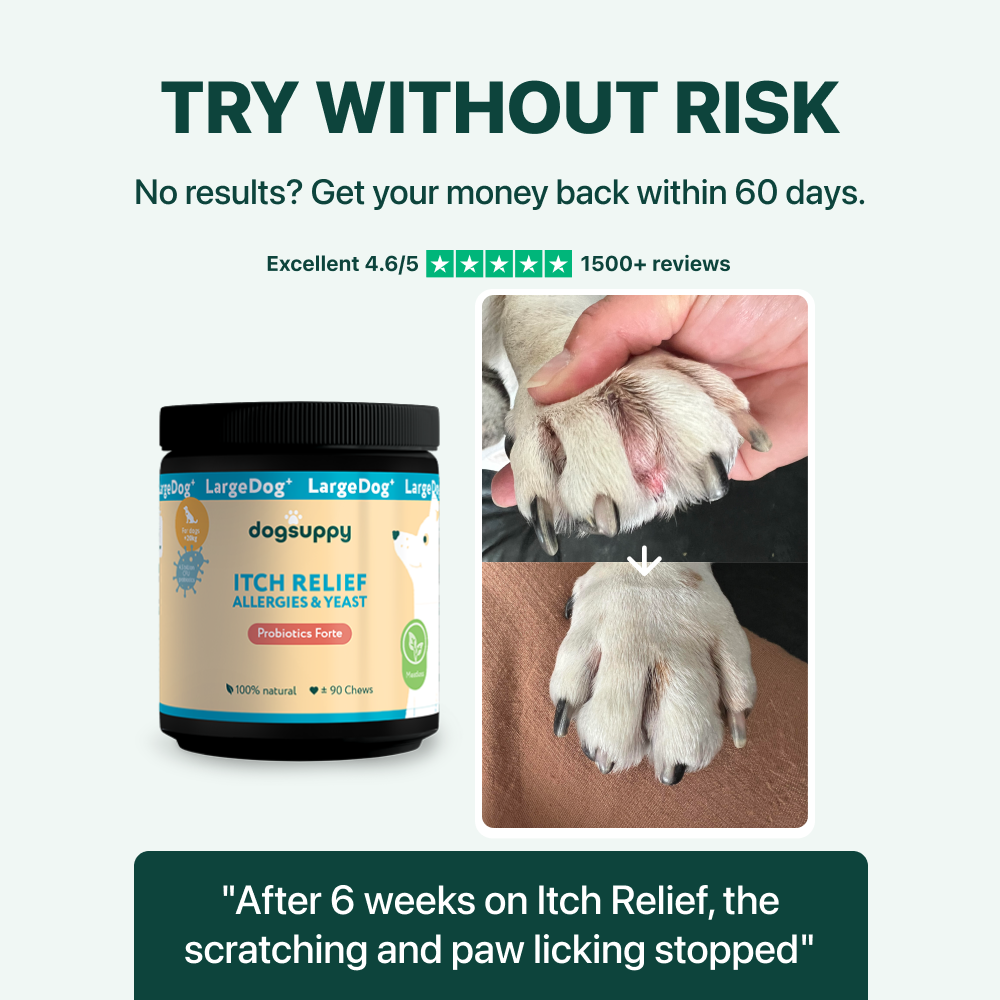 LargeDog⁺ Itch Relief Probiotics Forte 🌿 100% natural 🫙 90 soft chews