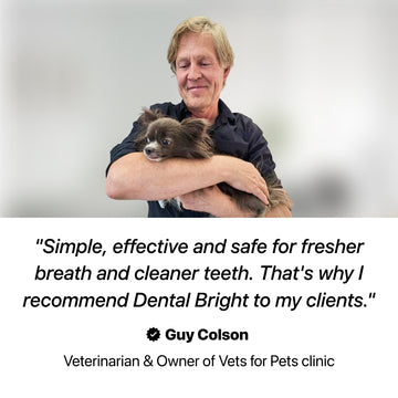 Dental Bright™ 🌿 100% natural 🫙 60 scoops