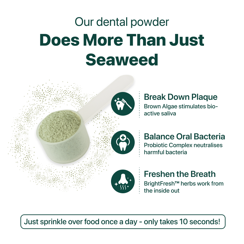Dental Bright™ 🌿 100% natural 🫙 60 scoops