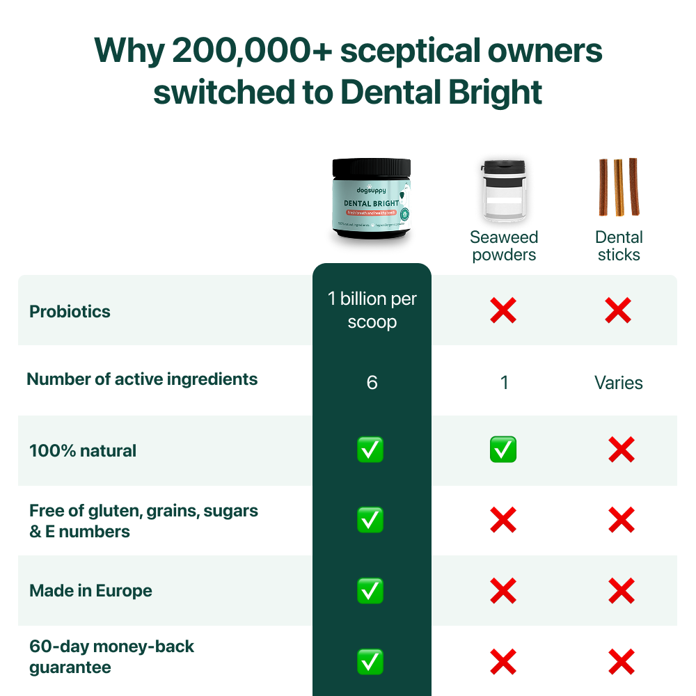 Dental Bright™ 🌿 100% natural 🫙 60 scoops