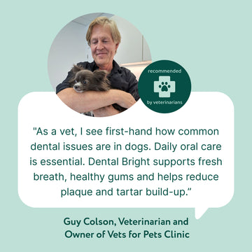 Dental Bright™ | 100% natural ingredients | 60 scoops