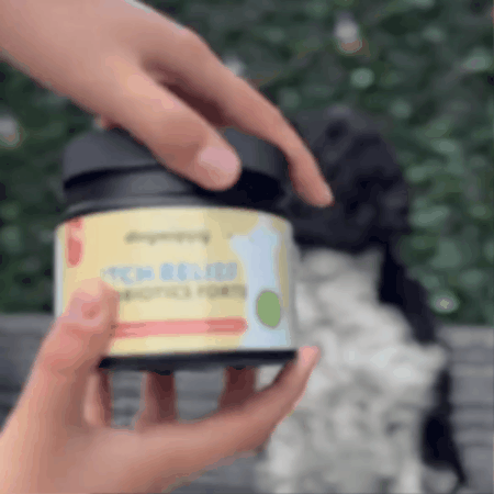 LargeDog⁺ Itch Relief Probiotics Forte 🌿 100% natural 🫙 90 soft chews