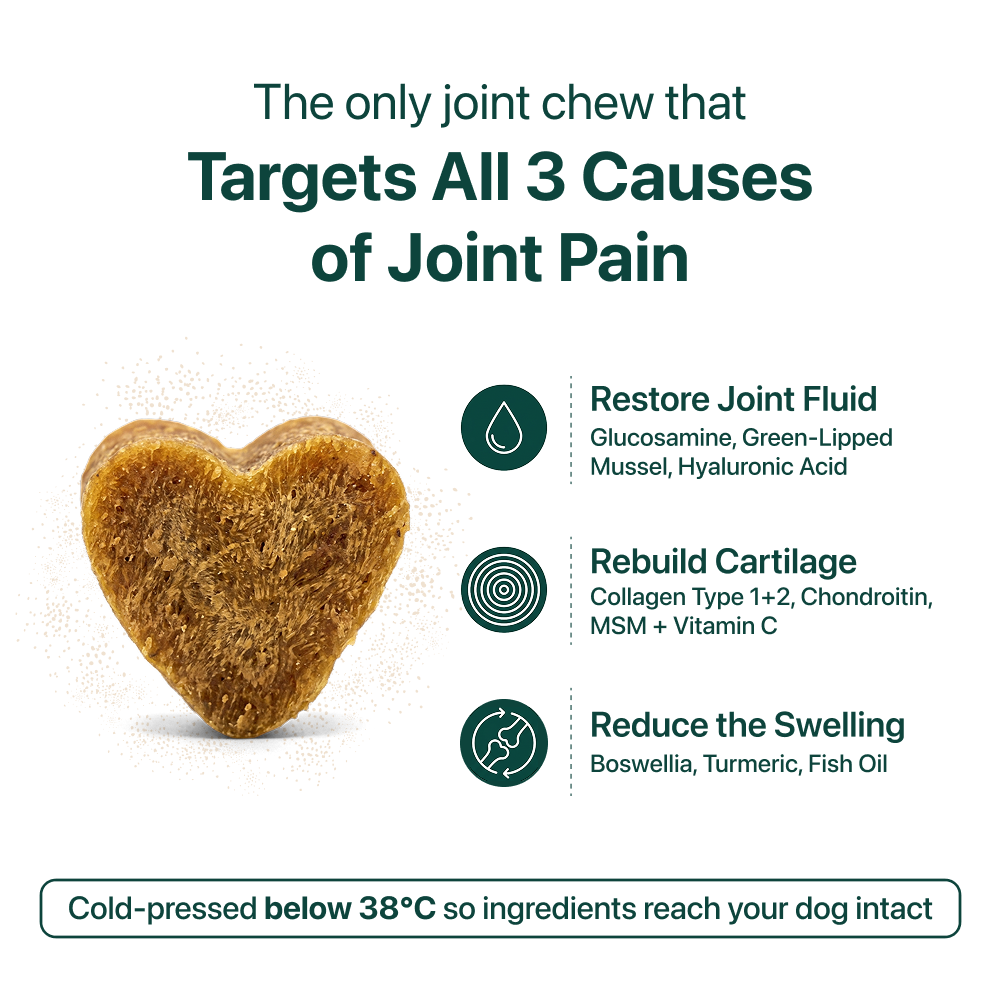 Hip & Joint 🌿 100% natural 🫙 60 soft chews