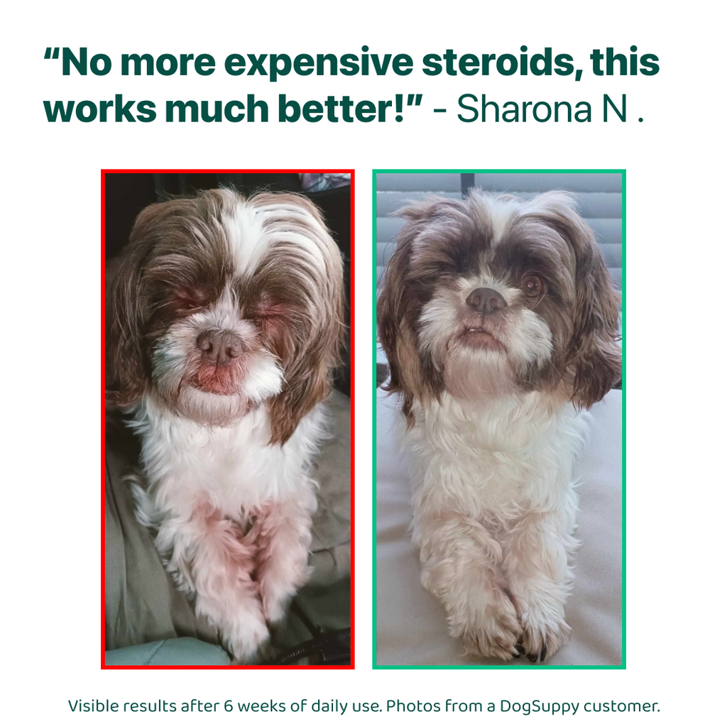 Itch Relief Probiotics Forte 🌿 100% natural 🫙 60 soft chews