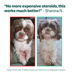 Itch Relief Probiotics Forte 🌿 100% natural 🫙 60 soft chews
