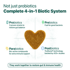 LargeDog⁺ Itch Relief Probiotics Forte 🌿 100% natural 🫙 90 soft chews