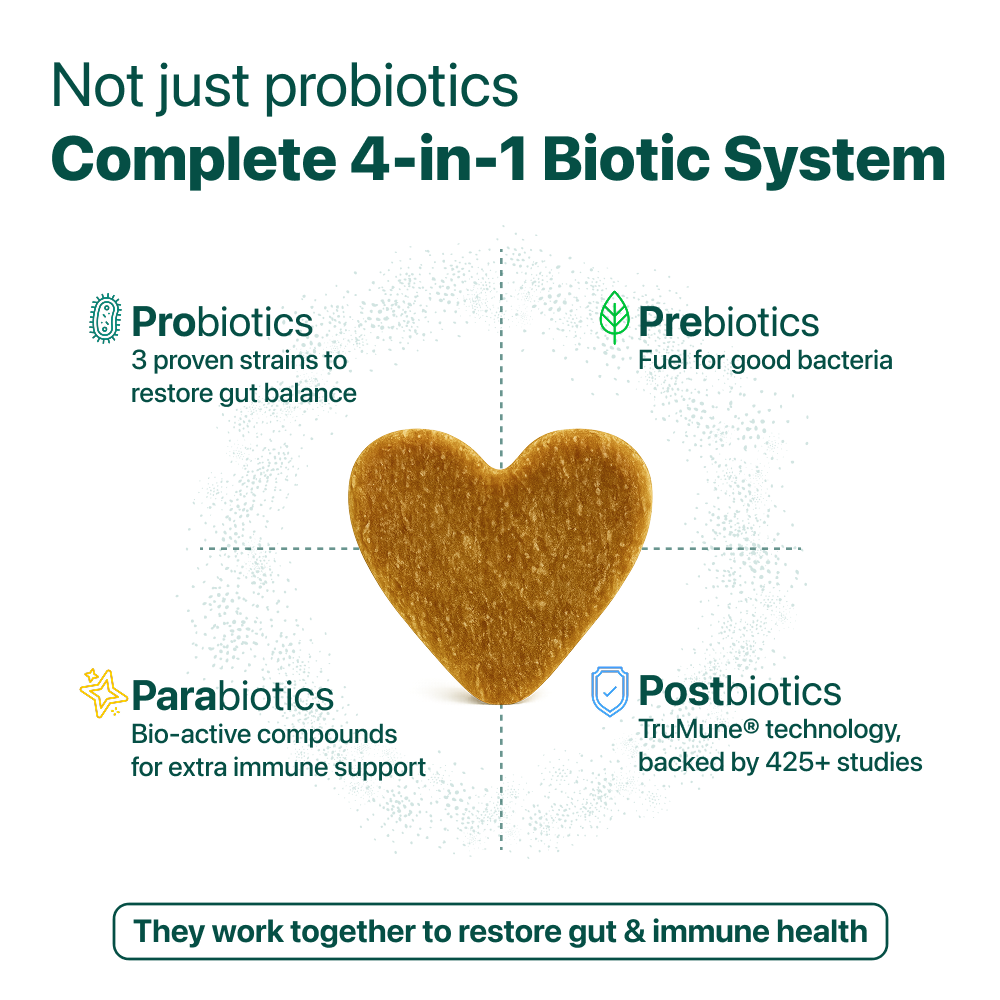 LargeDog⁺ Itch Relief Probiotics Forte 🌿 100% natural 🫙 90 soft chews