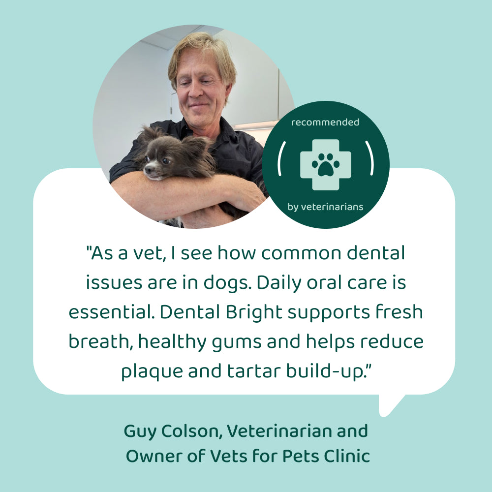 Dental Bright™ | 100% natural ingredients | 60 scoops